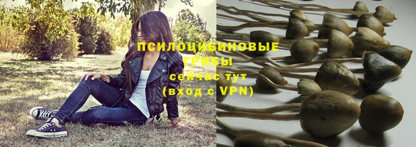 прущая мука Бородино