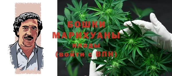 прущая мука Бородино