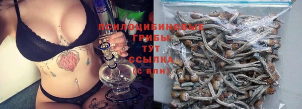 винт Бугульма
